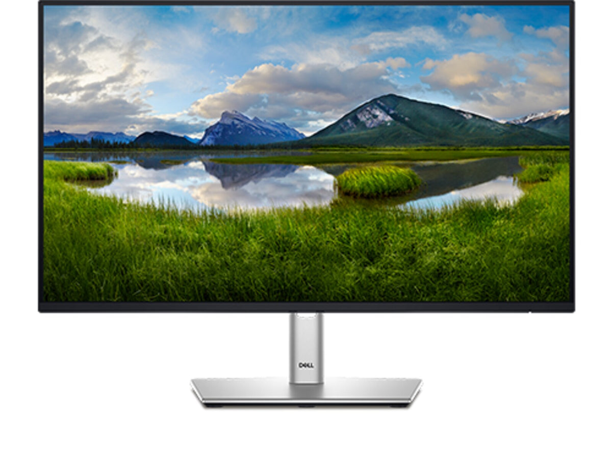 Dell Pro 24 Plus P2425H 23.8-inch FHD IPS business monitor with silver stand